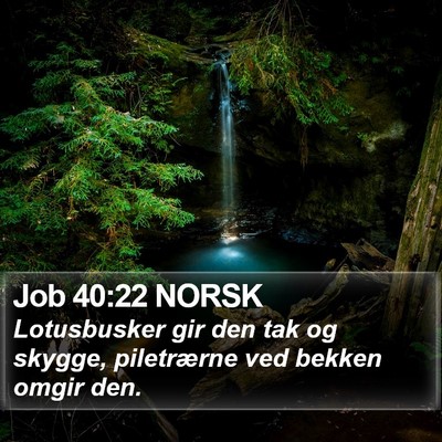 Job 40:22 NORSK Bible Verse Image