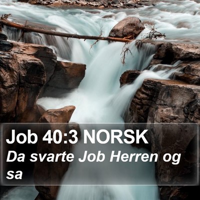 Job 40:3 NORSK Bible Verse Image