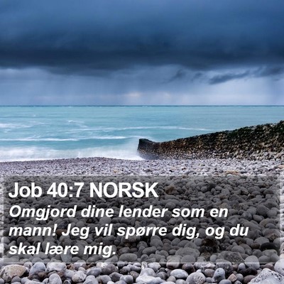 Job 40:7 NORSK Bible Verse Image