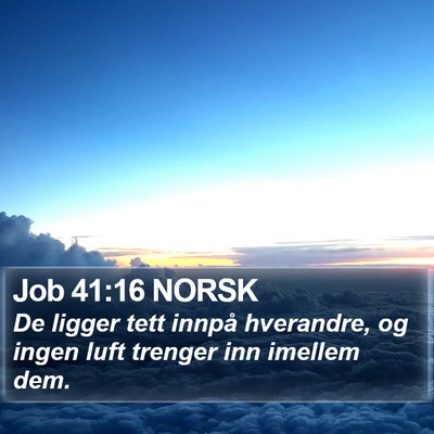 Job 41:16 NORSK Bible Verse Image