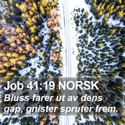 Job 41:19 NORSK Bible Verse Image