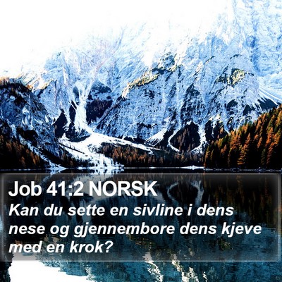 Job 41:2 NORSK Bible Verse Image