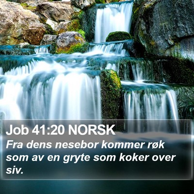 Job 41:20 NORSK Bible Verse Image
