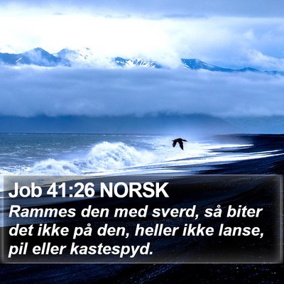 Job 41:26 NORSK Bible Verse Image