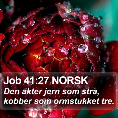 Job 41:27 NORSK Bible Verse Image