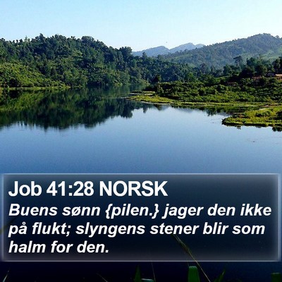 Job 41:28 NORSK Bible Verse Image
