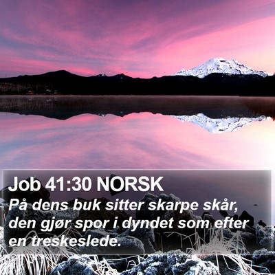Job 41:30 NORSK Bible Verse Image