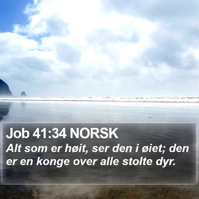 Job 41:34 NORSK Bible Verse Image