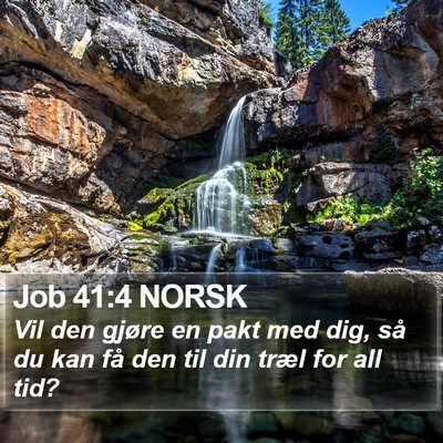 Job 41:4 NORSK Bible Verse Image
