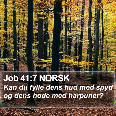 Job 41:7 NORSK Bible Verse Image