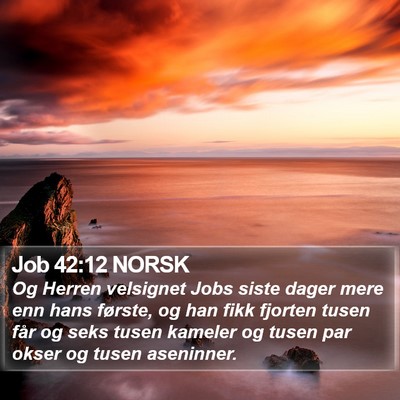 Job 42:12 NORSK Bible Verse Image