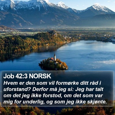 Job 42:3 NORSK Bible Verse Image