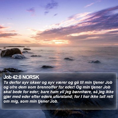 Job 42:8 NORSK Bible Verse Image