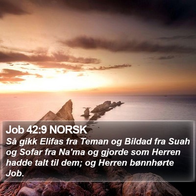 Job 42:9 NORSK Bible Verse Image