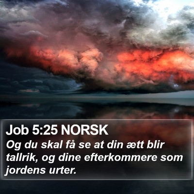 Job 5:25 NORSK Bible Verse Image