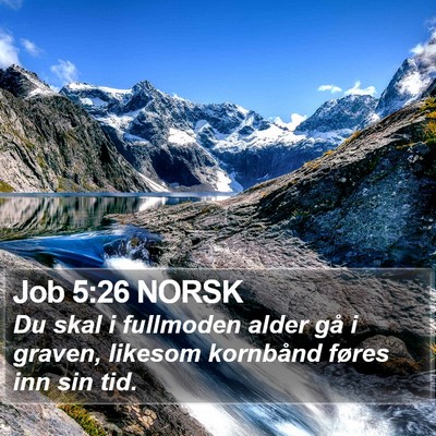 Job 5:26 NORSK Bible Verse Image