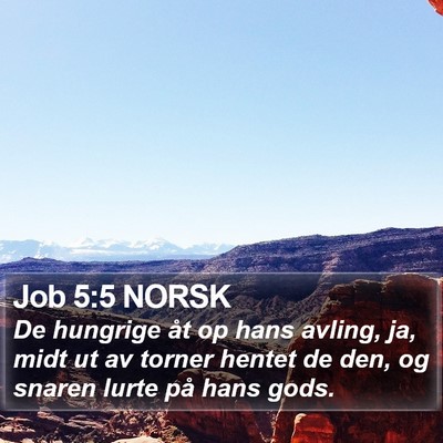Job 5:5 NORSK Bible Verse Image