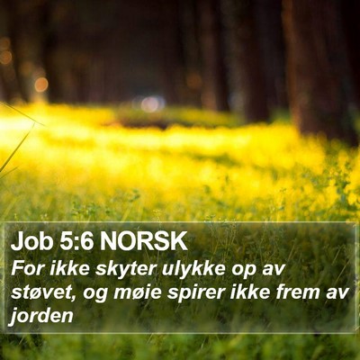 Job 5:6 NORSK Bible Verse Image