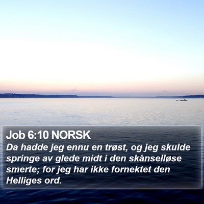 Job 6:10 NORSK Bible Verse Image