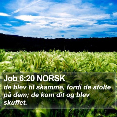 Job 6:20 NORSK Bible Verse Image