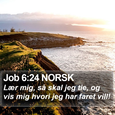 Job 6:24 NORSK Bible Verse Image