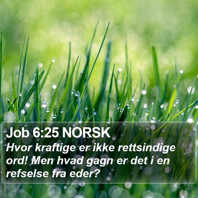 Job 6:25 NORSK Bible Verse Image