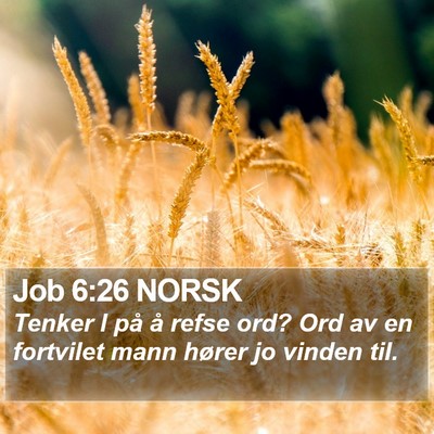 Job 6:26 NORSK Bible Verse Image