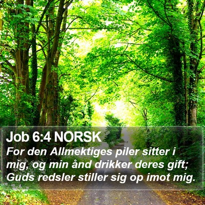 Job 6:4 NORSK Bible Verse Image