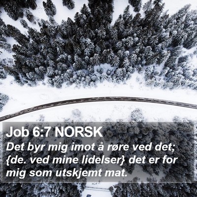 Job 6:7 NORSK Bible Verse Image
