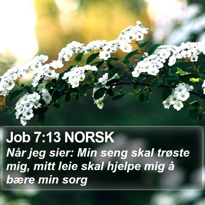 Job 7:13 NORSK Bible Verse Image