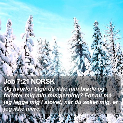 Job 7:21 NORSK Bible Verse Image