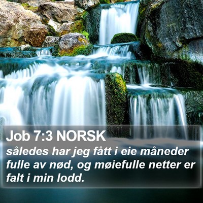 Job 7:3 NORSK Bible Verse Image