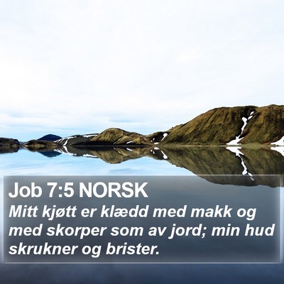 Job 7:5 NORSK Bible Verse Image