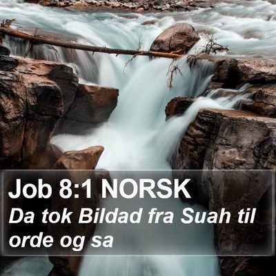 Job 8:1 NORSK Bible Verse Image
