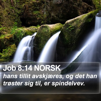 Job 8:14 NORSK Bible Verse Image