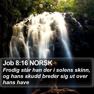 Job 8:16 NORSK Bible Verse Image