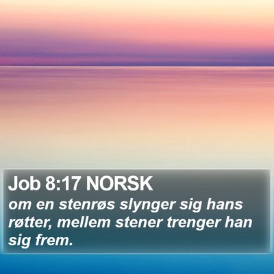 Job 8:17 NORSK Bible Verse Image