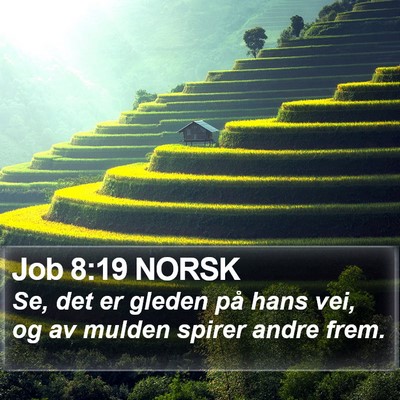 Job 8:19 NORSK Bible Verse Image