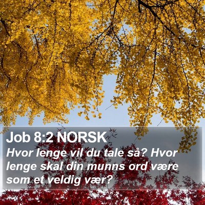 Job 8:2 NORSK Bible Verse Image