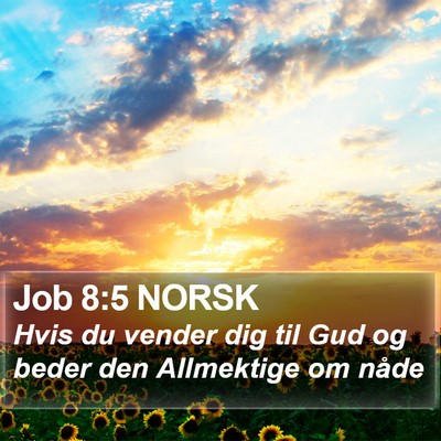 Job 8:5 NORSK Bible Verse Image