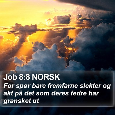 Job 8:8 NORSK Bible Verse Image