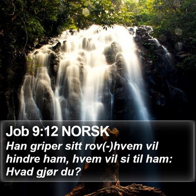 Job 9:12 NORSK Bible Verse Image