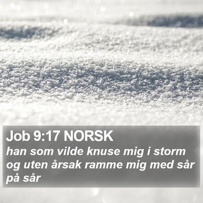 Job 9:17 NORSK Bible Verse Image