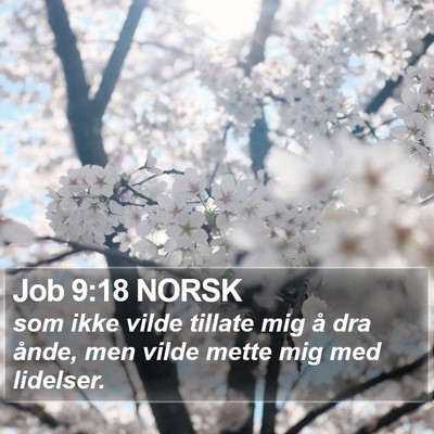 Job 9:18 NORSK Bible Verse Image