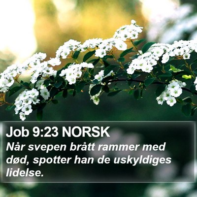 Job 9:23 NORSK Bible Verse Image