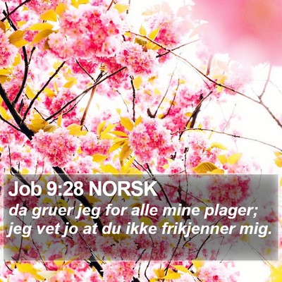 Job 9:28 NORSK Bible Verse Image
