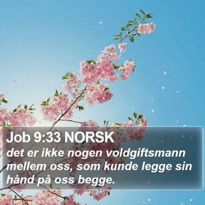 Job 9:33 NORSK Bible Verse Image