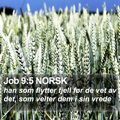 Job 9:5 NORSK Bible Verse Image