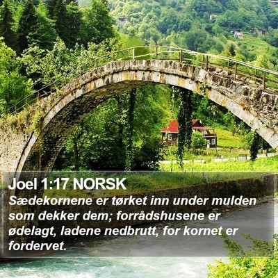 Joel 1:17 NORSK Bible Verse Image