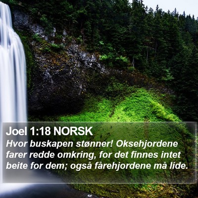 Joel 1:18 NORSK Bible Verse Image
